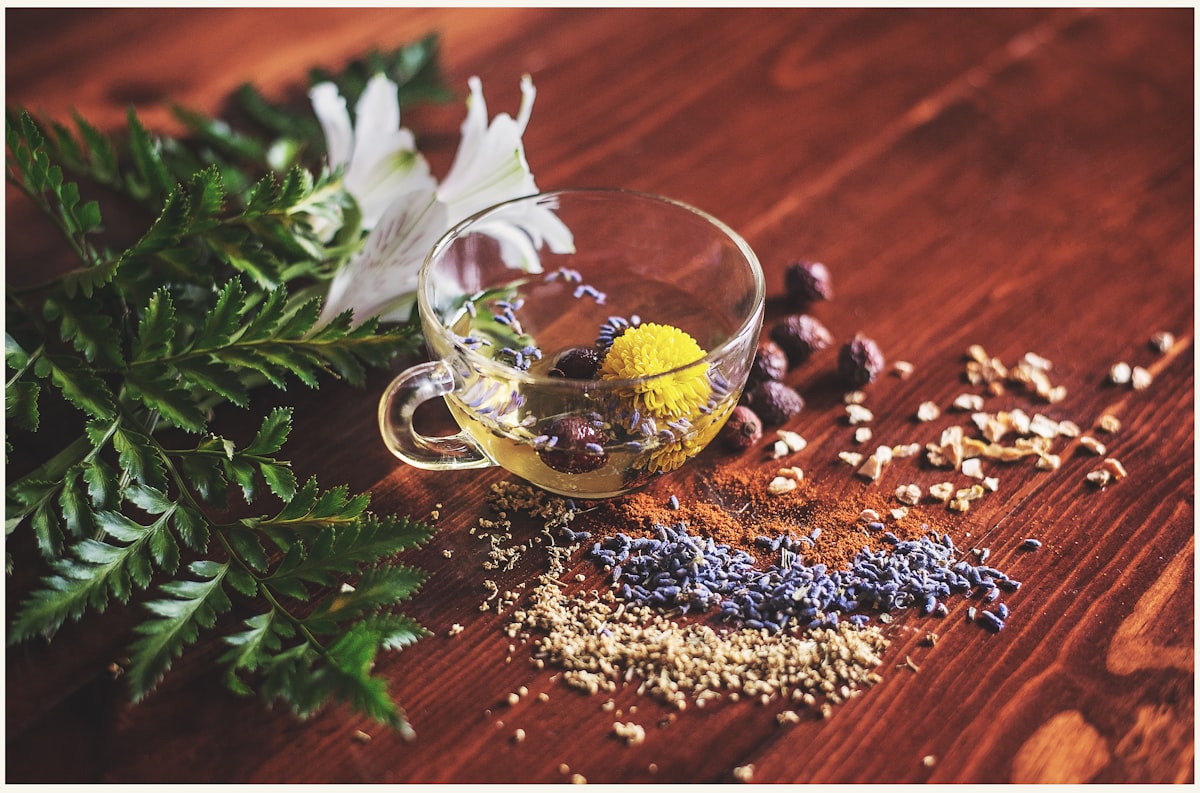 Guía completa de salud digestiva